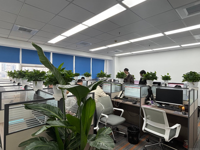 上海屹坦商務(wù)咨詢 專(zhuān)業(yè)服務(wù)助力企業(yè)高效發(fā)展